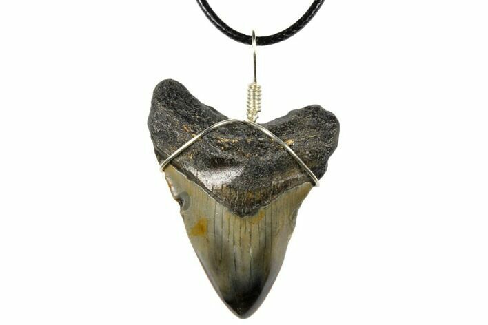 Fossil Megalodon Tooth Necklace #130948